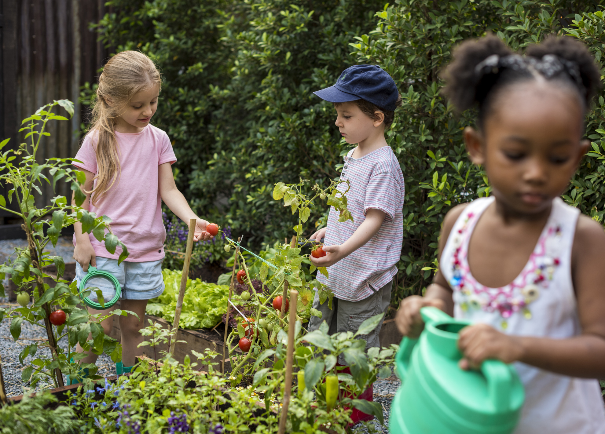 Acheter un composteur de jardin pas cher - Green Attitude - PRÊT A