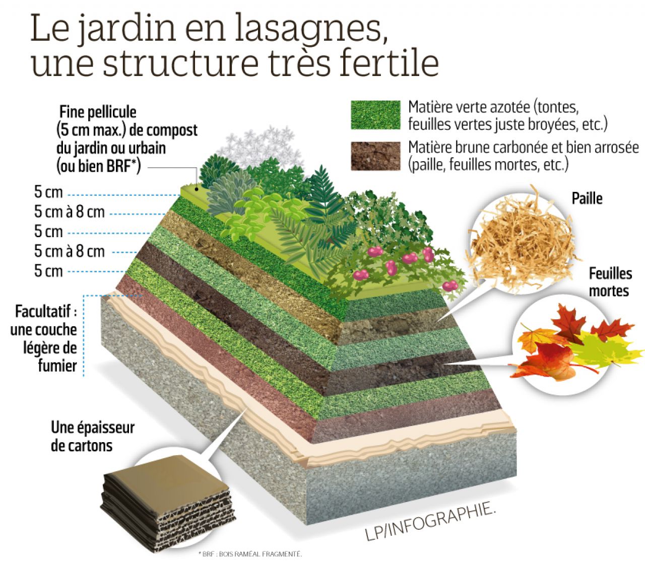 Faire son terreau de feuilles mortes - Le potager permacole