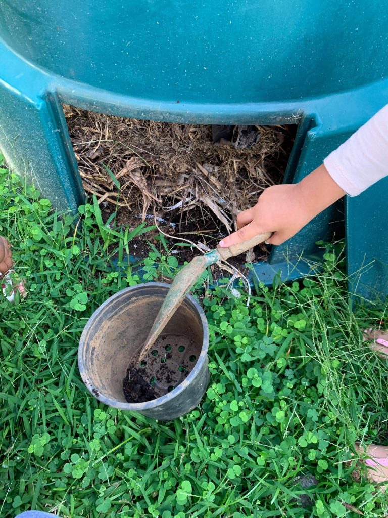 récupération compost