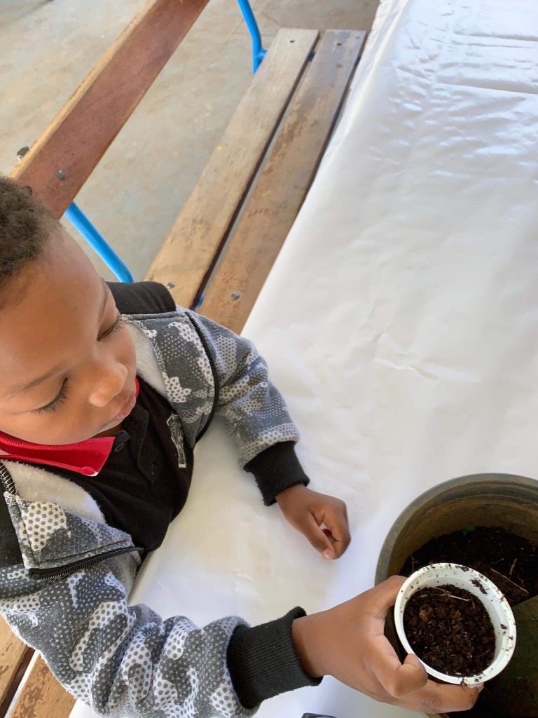 1 pot de compost