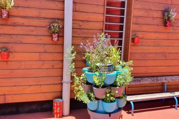A la découverte de notre jardin!