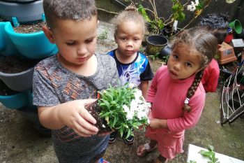 Un lombricomposteur en Maternelle