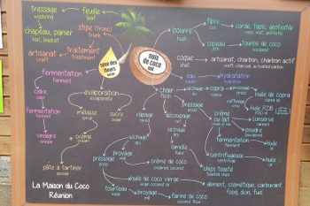 Les élèves du CPa (Mme AMANY) participent au projet TCO: Visite de la Maison du Coco et plantations