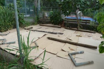 Notre jardin en 2019-2020