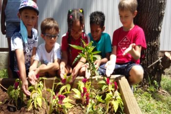 Les élèves de CE1b (Mme MANNECHEZ) réalisent leurs premières plantations à l’école BLANCHE PIERSON
