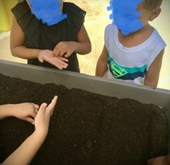 Le petit jardin des PS/MS de l’école maternelle Pauline Kergomard