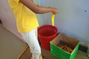 Le compost de la classe de MS