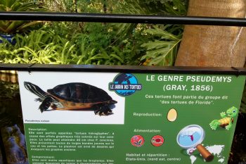 La classe CPW au jardin des tortues
