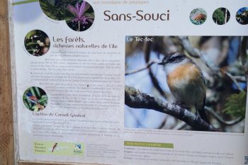 NOTRE SORTIE EN FORET.