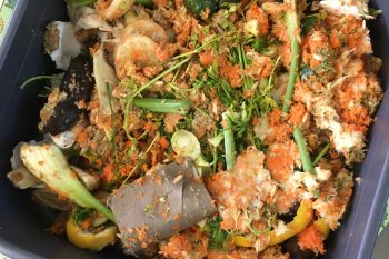 LA MISE EN PLACE DU LOMBRICOMPOSTEUR