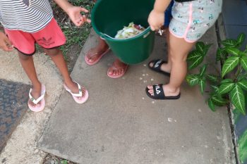 Le compostage en MS-GS