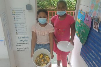 Comment nourrir les poules de manière écologique?