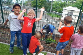 Des plantations en maternelle Estella Clain 1/2