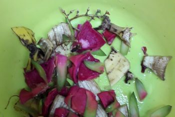 FABRIQUONS ET OBSERVONS LE  COMPOST