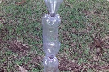 Maternelle Pauline Kergomard: recyclage de bouteilles en plastique et jardin suspendu