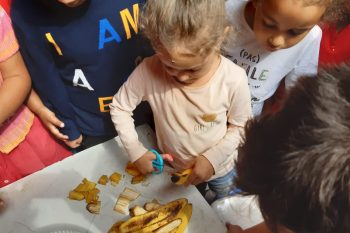 Un jardicomposteur pour la maternelle des Camélias