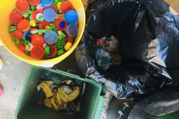 Révision des bonnes habitudes de tris