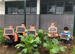 DANS LE JARDIN DE L’ECOLE …