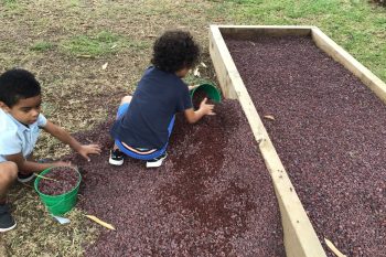 LE JARDIN ZEN DES GS1