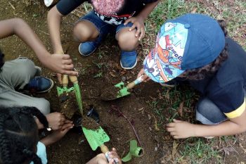 Atelier plantation des GS maternnelle à la ferme Crescence Pauline Kergomard