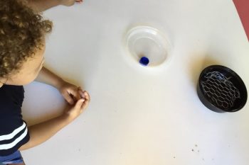 DES PAS JAPONAIS ECOLOGIQUES AUX CARAMBOLES…!