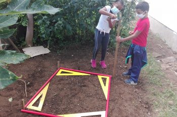 Qu’y a-t-il dans la terre de notre potager?