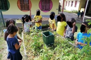 Histoire de compost 1