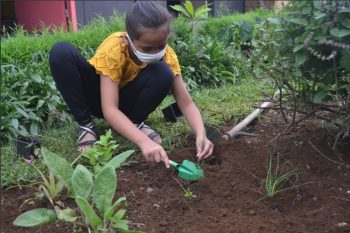Plantations et compost à l’école des Palmistes