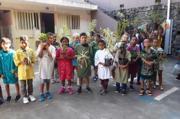 Plantations à l’école.Les élèves du CE1a