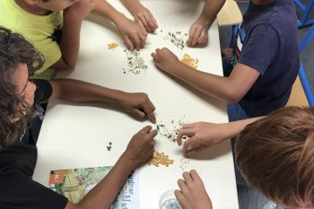 Un potager à l’école