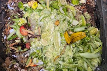 Composter pour semer, rempoter, jardiner …