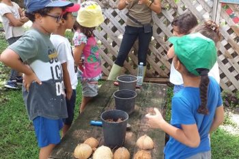 Visite au Domaine Coco