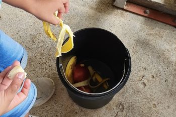 Le compost  à l’école