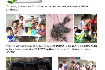 les fleurs des PS MS