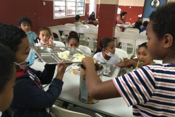 Les poules sont de retour à l’école des Camélias !