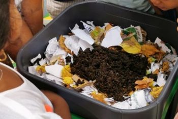 Le lombricomposteur des classes de maternelle