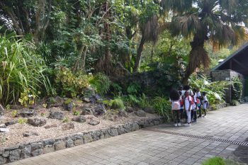 La visite du Conservatoire Botanique des Mascarins