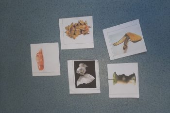 REDUIRE LES DECHETS DE LA POUBELLE ORDINAIRE