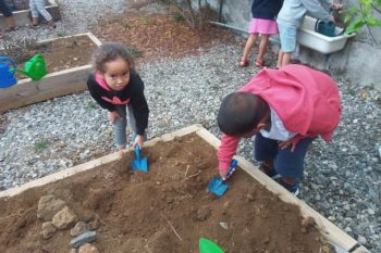 Nos plantations, notre jardin !
