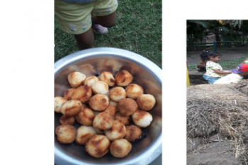 En visite à la Mison du coco