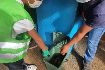 Le potager de l’école Arthur Alméry