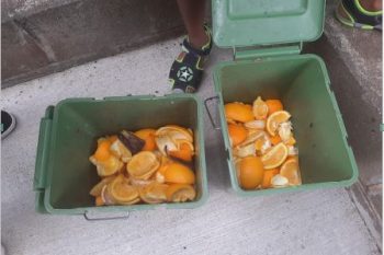 Les déchets organiques