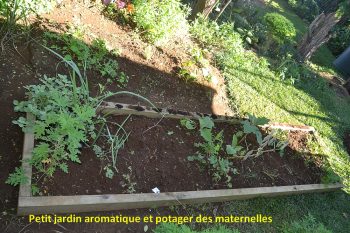 Les plantations en avril à l’école des Palmistes