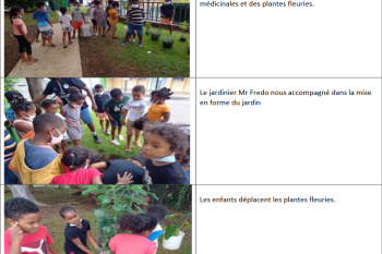 Le jardin de l’école Eugène Dayot à la Rivière des Galets