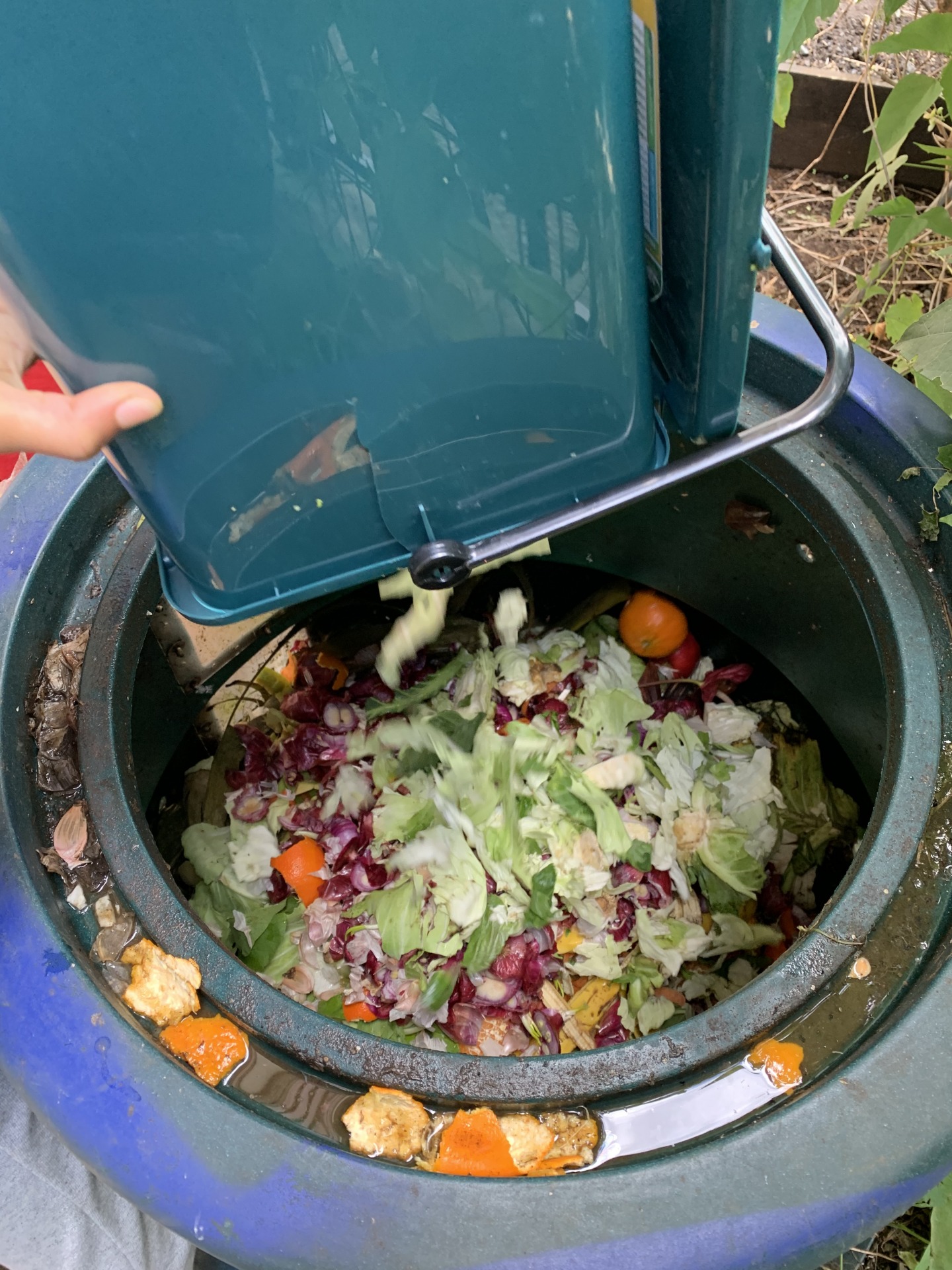 Ne gaspillez plus vos déchets alimentaires : ce composteur de jardin est à  prix resserré