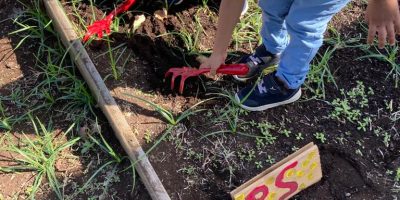 En avant le potager !
