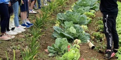 Sortie dans le jardin potager de notre quartier