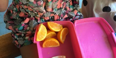 LE COMPOSTAGE AUX CARAMBOLES
