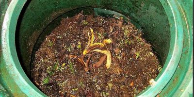 Du tri efficace et du compost à l’école des Palmistes