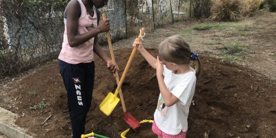 PROJET RECYCLAGE ET PLANTATION